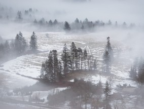 台湾旅游遇冷现象的深度解析台湾为什么很难看到雪