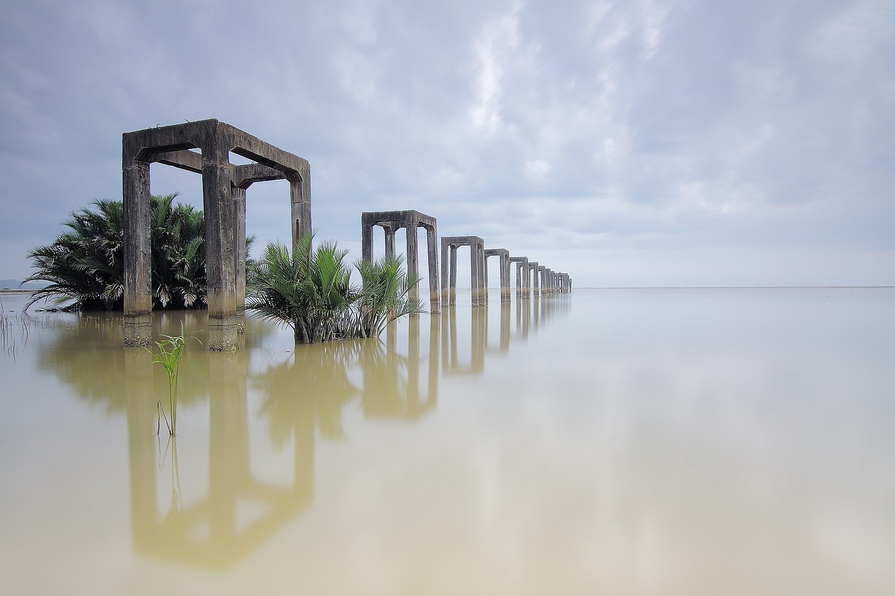 中国旅游景区治理模式研究旅游景区的治理主体